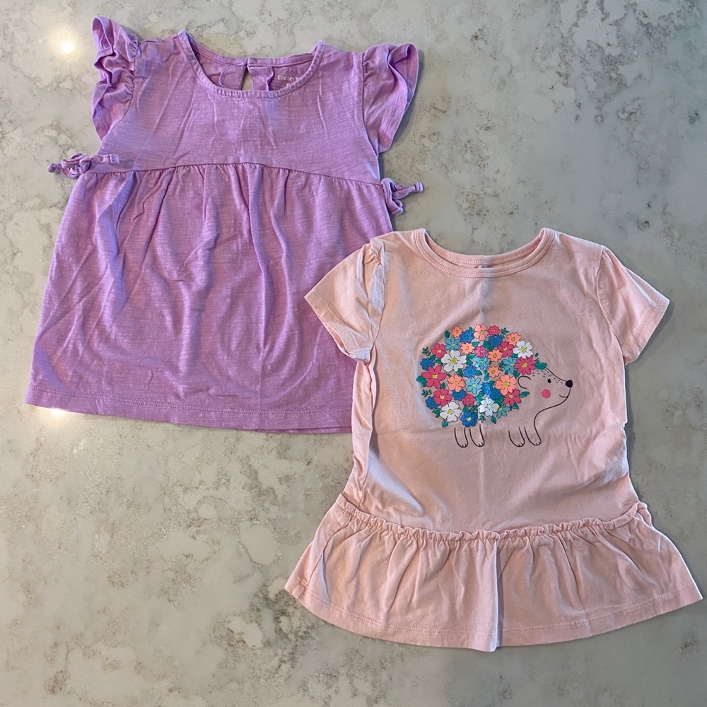 Bundle of 5T tees: hedgehog, purple ruffle - Picture 1 of 5